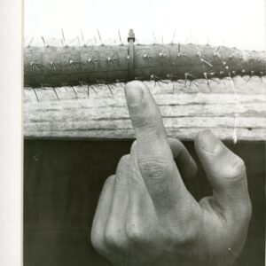 Antonio Quevedo - Finger Touching Cactus