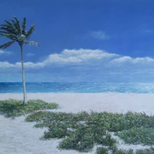 20230711_105626 Paul Doughty - Palm Solo