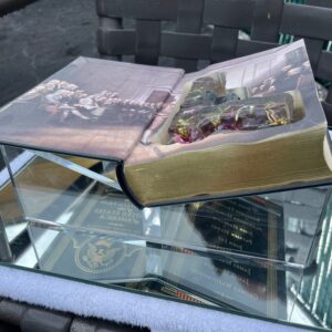 Adam-Dolle-Their-Constitution-Guns-and-Babies-Book-resin-acrylic-mirror-14-x-14-x-7H Adam Dolle - Their Constitution: Guns and Babies