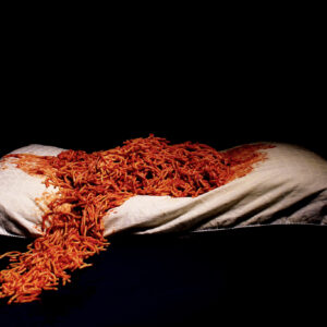 Bailey Levy - The Day My Dad Got Served