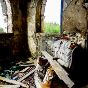 Barbara Brier - Abandoned Elegance