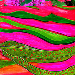 Barbie-Lynn Pearson - Colorful Patterns