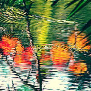 Barbie-Lynn Pearson - Fall Mirage