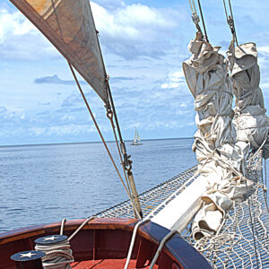 Barbie Pearson - Tall Ship