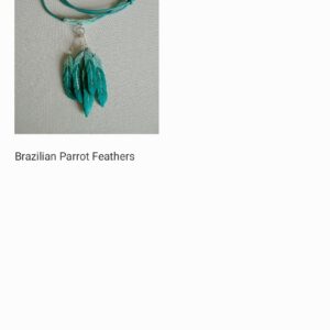 Jewellene Wilson - Brazilian Parrot Feathers