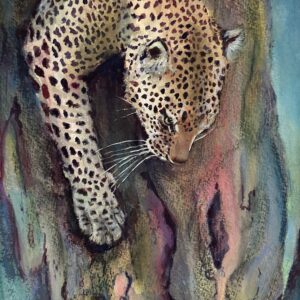 Donna Kelley - Descent