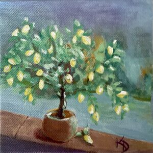 IMG_4180 Kim DeFrancesco - Lemon Tree in Pot.