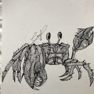 IMG_9399 Camila Leon Valenzuela - Crabby