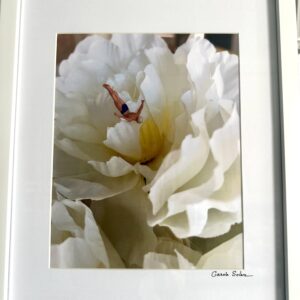 IMG_9769 Carole Soler - "The Diver"