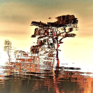 Jane Kreinberg - Hints of Autumn