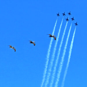 Jane Kreinberg - In Flight