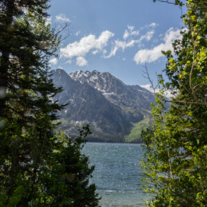 Jose-Fernandez-ReachingtheBeauty-Digital-18×24 Jose Fernandez - Reaching the Beauty