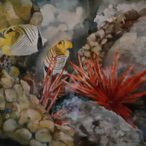 K.-Tondiglia-Reef-Buddies KAREN TONDIGLIA - Reef Buddies