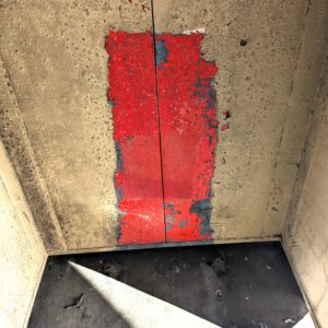 Roy Michael Mills - Beyond the Red Door