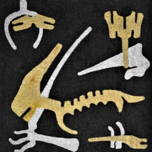 Michael Mills - Paleontology