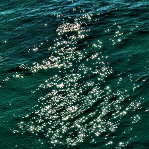 Roy Mills - Scintillation