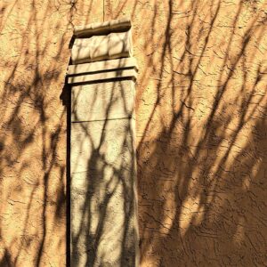 Roy Michael Mills - Shadows, Rollins Museum, Winter Park