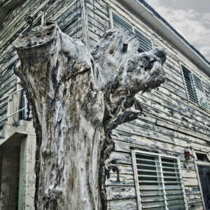 MichaelCraft-FoundationsOfDecay-Photography-16×20 Michael Craft - Foundations Of Decay