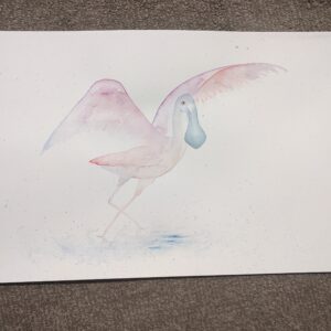 PXL_20230615_003602065 Rebekah Lowe - Summer Sizzling Spoonbill