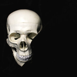 Sasha-Darer-Time-is-an-Unspoken-Curse-digital-photograph-13x19jpg Sasha Darer - Time is an Unspoken Curse