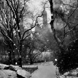 William-Quigley-Winter-New-York-City-Photography-18x22x1 William Quigley - Winter: New York City