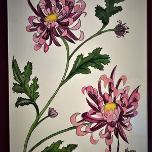laurahansenchrys-watercolor-18-x-22 Laura Hansen - Chrysanthemums
