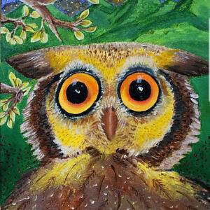 Sandy Maranesi - Bashful