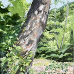 valle-crucis-park Marie Darmanian - Valle Crucis Park