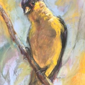 yellow-bird-3 Patti Doolittle - Yellow Bird