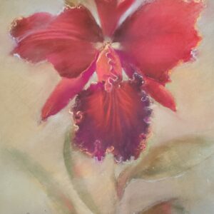 20230612_085638 Jerrolyn Crooks deGracia - Orchid In Red