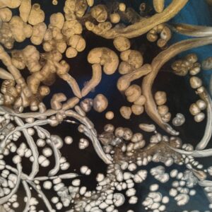 24x36blue-weave-acrylic-1000.00-a-scaled Will Morrris - Blue Weave