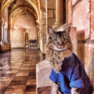 Joann Biondi - North Miami Beach