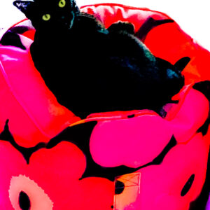 Barbie-Lynn Pearson - My Comfy Red Cushion