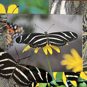 Barbie-Pearson-ThreePointLanding-16X20-PhotographyWithMixedMedia-scaled Barbie-Lynn Pearson - Three-Point Landing