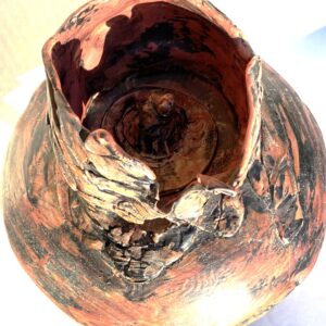 Diane Karmiol - Could It Be A UFO?