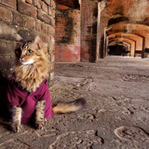 Joann Biondi - Key West, FL