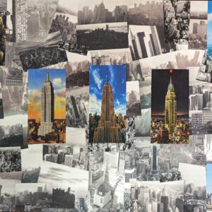 Roy Michael Mills - Manhattan, New York City, New York