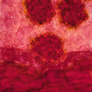 Roy Mills - Release (The Birth of Meatballs)