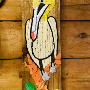 Pelican Jessica Basi - Plastic Pelican