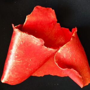 Trish-Delish-Art-Gilded-Ribbon-clay-7x6x21-scaled Trish Stypka - Gilded Ribbon