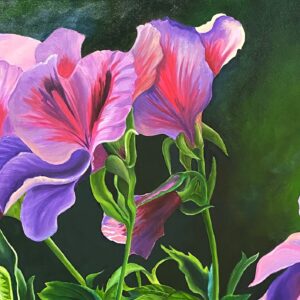 passion-for-pansies Marcy Bjelajac - Passion for Pansies